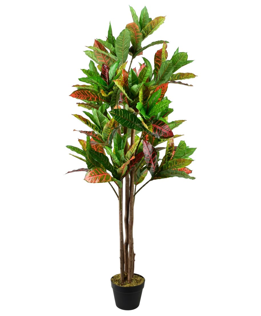 VIRIDIS Kwiat sztuczny Kroton 145cm w dniczce