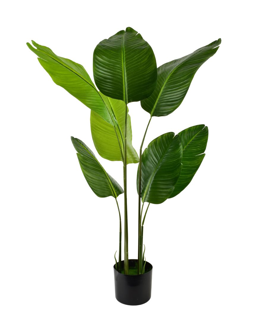 VIRIDIS Kwiat sztuczny Bananowiec 110cmw doniczce