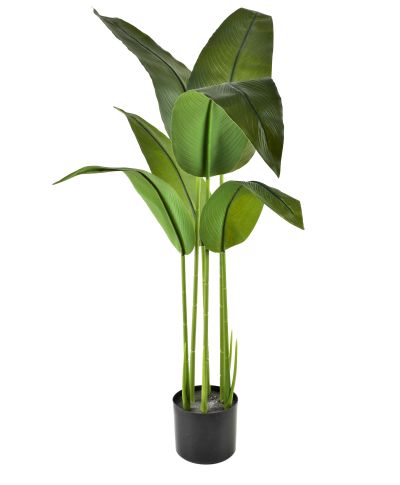 VIRIDIS Kwiat sztuczny Bananowiec 120cmw doniczce