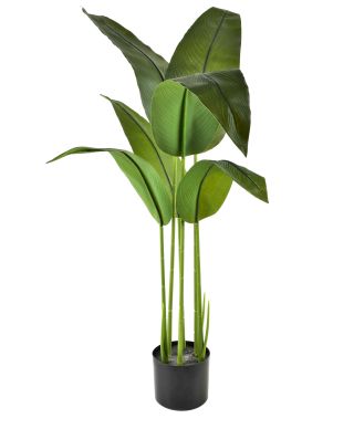 VIRIDIS Kwiat sztuczny Bananowiec 120cmw doniczce