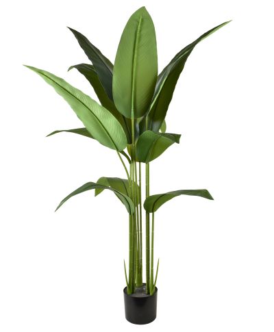 VIRIDIS Kwiat sztuczny Bananowiec 140cmw doniczce