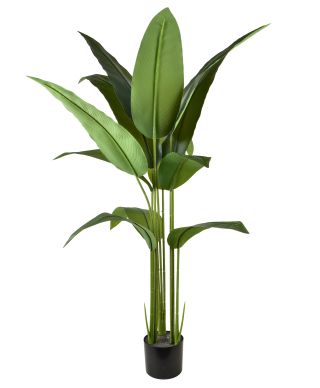 VIRIDIS Kwiat sztuczny Bananowiec 140cmw doniczce