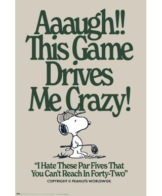 Snoopy This Game Drives Me Crazy - plakat