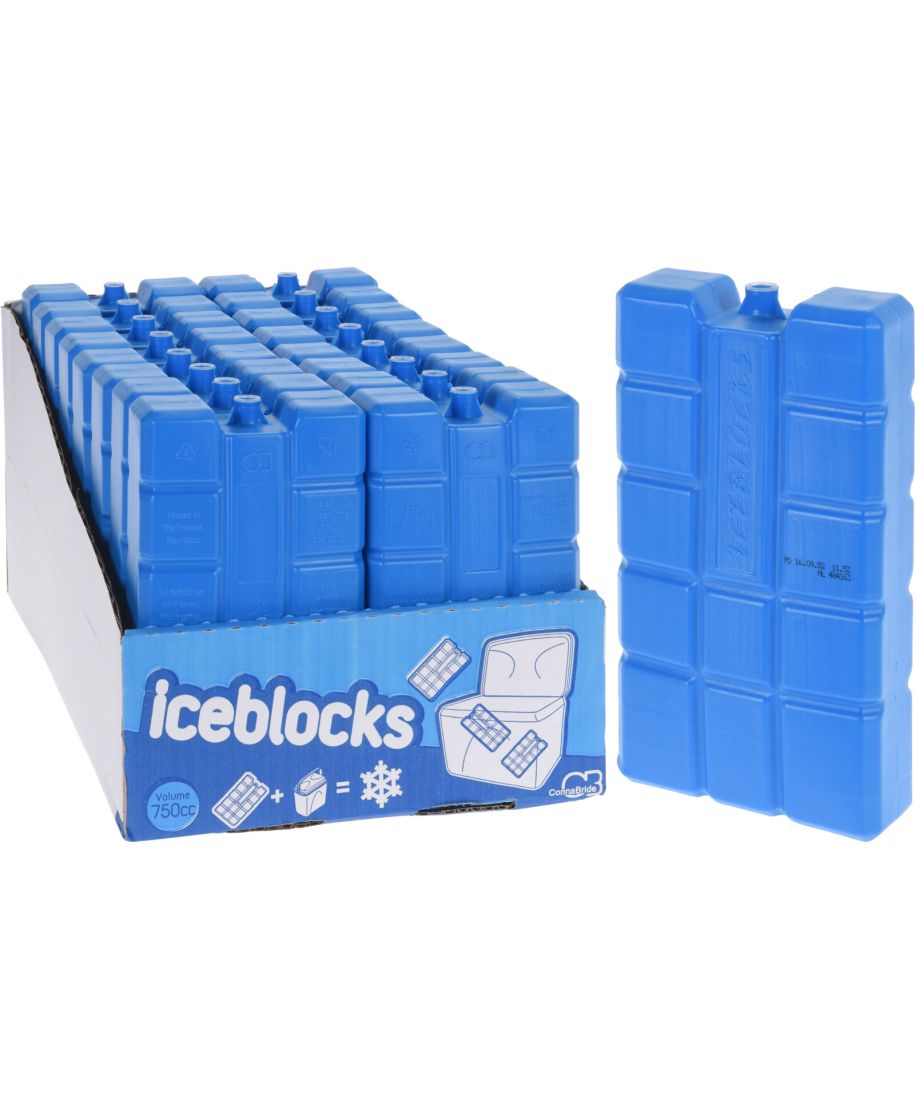 Wkład chłodzący z polietylenu 10,5x4x20,2 cm 750 g