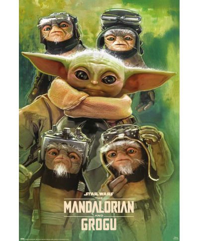 Star Wars Gwiezdne Wojny The Mandalorian Grogu Anzellans - plakat