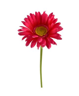 VIRIDIS kwiat sztuczny Gerbera 67cm