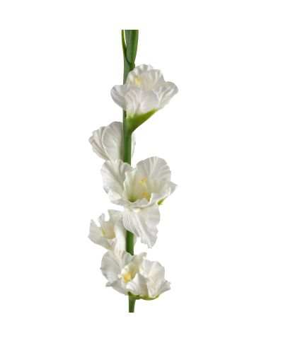 VIRIDIS Kwiat sztuczny Mieczyk 85cm biały