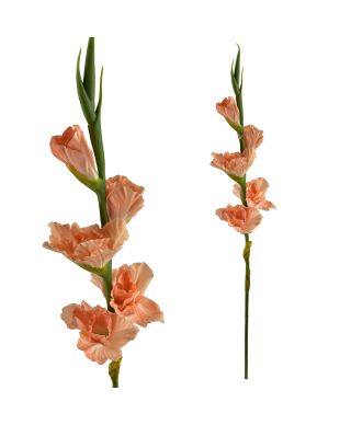 VIRIDIS Kwiat sztuczny Mieczyk 85cm