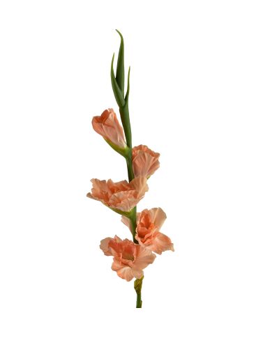 VIRIDIS Kwiat sztuczny Mieczyk 85cm