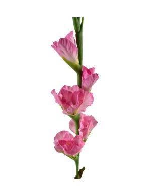 VIRIDIS Kwiat sztuczny Mieczyk 85cm różowy