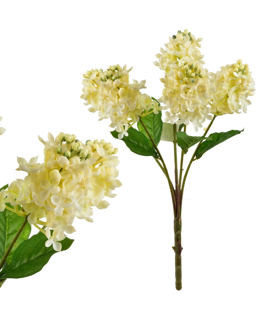 VIRIDIS Bukiet Bzu 40cm