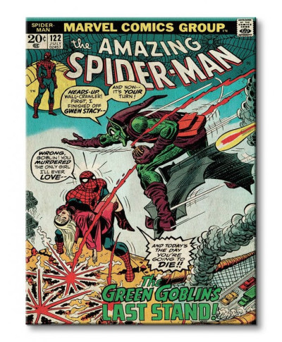 Spider-Man (Green Goblin) - Obraz na płótnie
