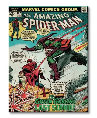 Spider-Man (Green Goblin) - Obraz na płótnie