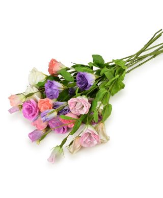 VIRIDIS Kwiat sztuczny Eustoma 70cm