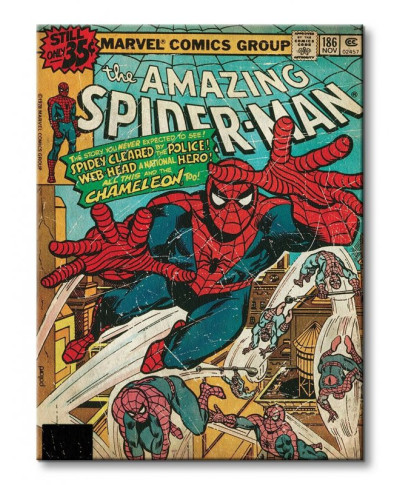 Spider-Man (Chameleon) - Obraz na płótnie