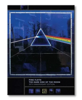Pink Floyd (Dark Side Of The Moon, 30th Anniversary) - Obraz na płótnie
