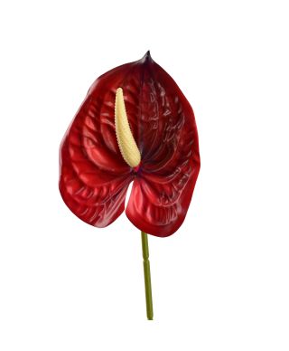 VIRIDIS Kwiat sztuczny Anturium 60cm czerwony