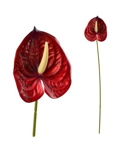 VIRIDIS Kwiat sztuczny Anturium 60cm czerwony