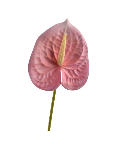 VIRIDIS Kwiat sztuczny Anturium 60cm różowy