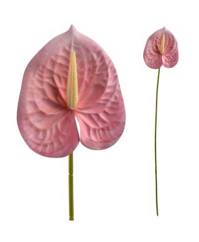 VIRIDIS Kwiat sztuczny Anturium 60cm różowy