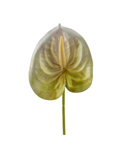 VIRIDIS Kwiat sztuczny Anturium 60cm