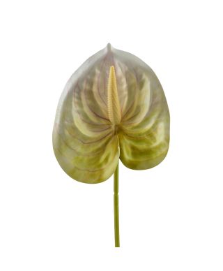 VIRIDIS Kwiat sztuczny Anturium 60cm
