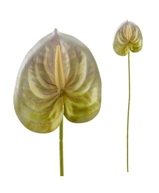 VIRIDIS Kwiat sztuczny Anturium 60cm