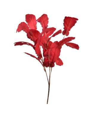 VIRIDIS bukiet liści Dębu 55cm