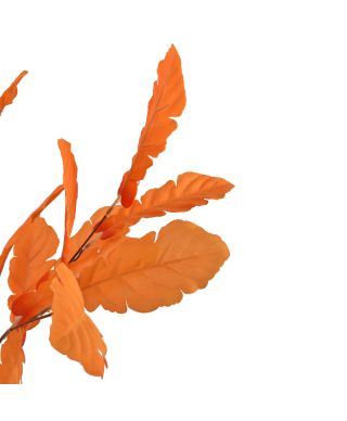 VIRIDIS bukiet liści Dębu 55cm