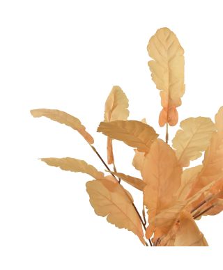 VIRIDIS bukiet liści Dębu 55cm