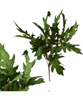 VIRIDIS bukiet 5 liści 57cm