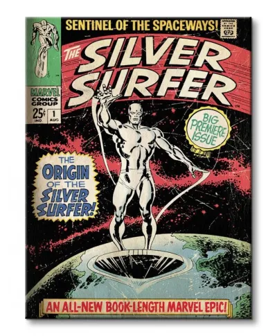 Silver Surfer (The Origin) - Obraz na płótnie