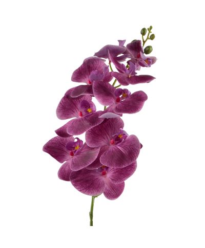 VIRIDIS Kwiat storczyk gałązka 90cm