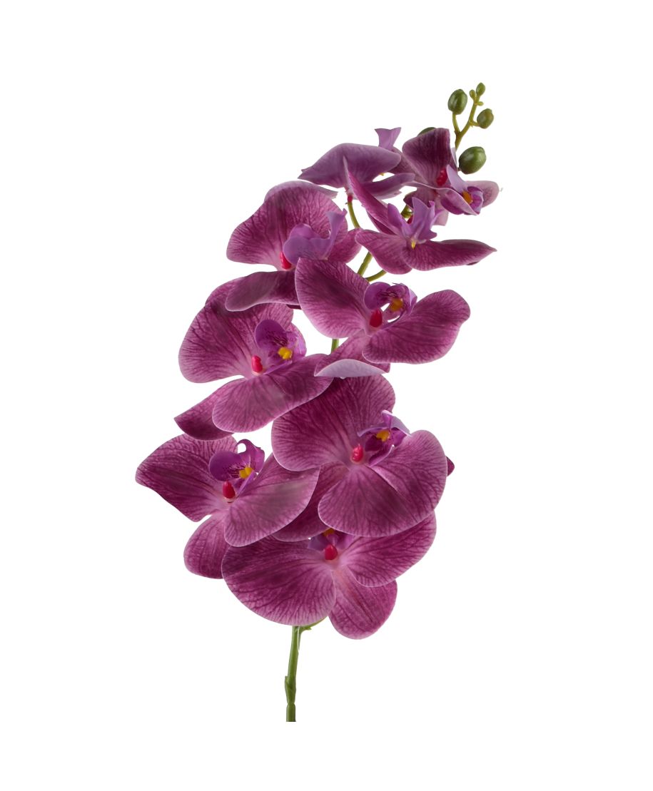 VIRIDIS Kwiat storczyk gałązka 90cm