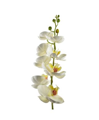 VIRIDIS Kwiat sztuczny Storczyk 85cm biały