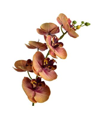 VIRIDIS Kwiat sztuczny Storczyk 85cm