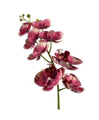 VIRIDIS Kwiat sztuczny Storczyk 85cm