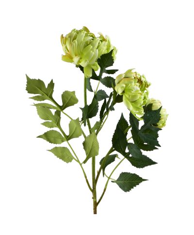VIRIDIS Chryzantema(x3) gałązka 70cm