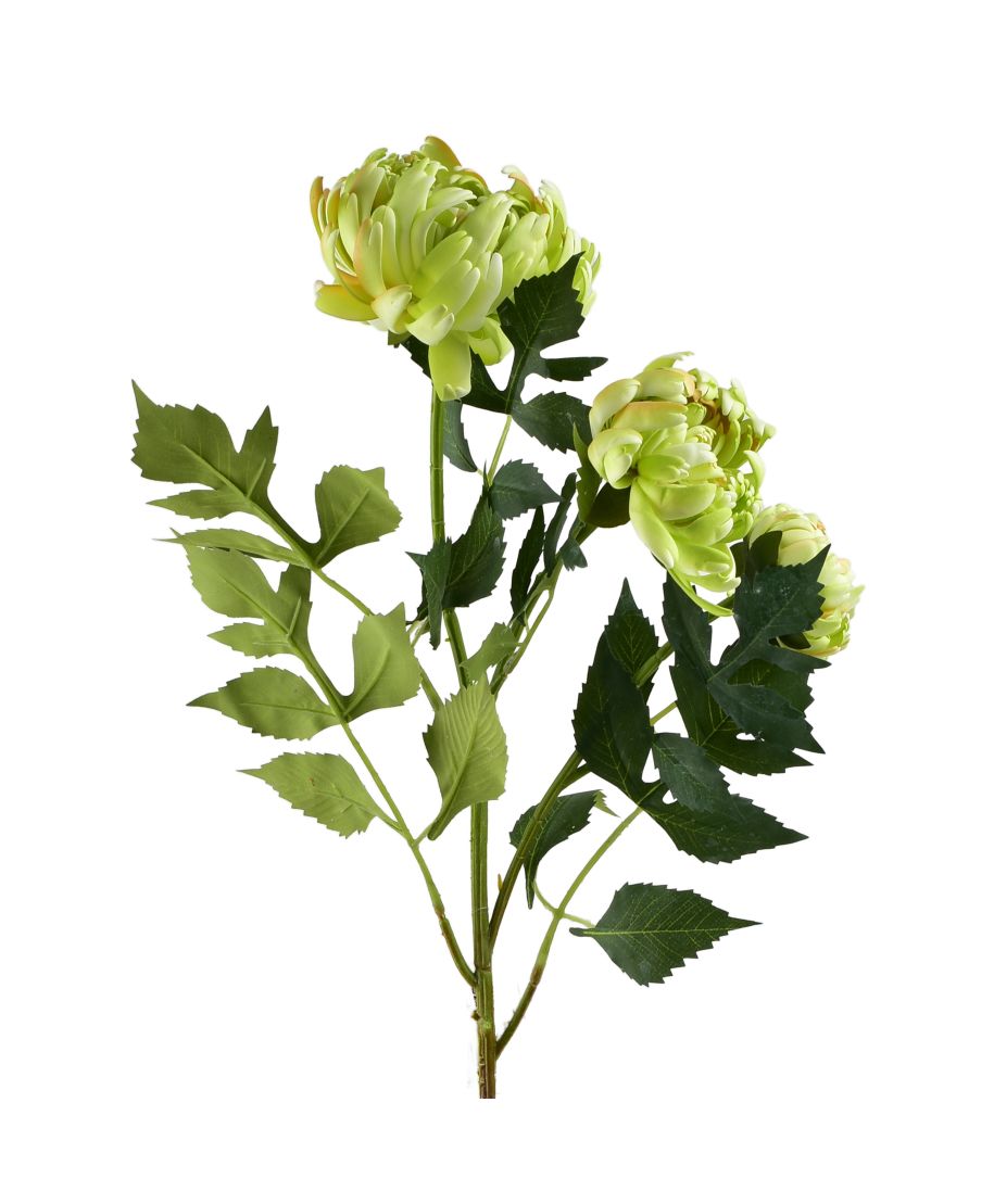 VIRIDIS Chryzantema(x3) gałązka 70cm