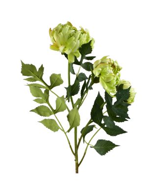 VIRIDIS Chryzantema(x3) gałązka 70cm