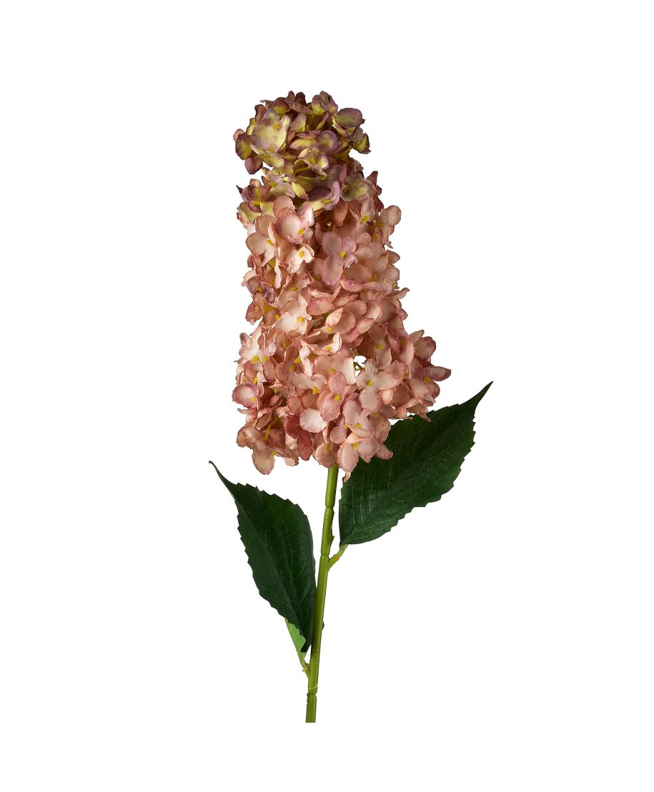VIRIDIS Kwiat Hortensja podłużna 80cm