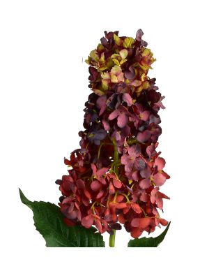 VIRIDIS Kwiat Hortensja podłużna 80cm
