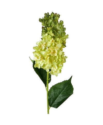VIRIDIS Kwiat Hortensja podłużna 80cm