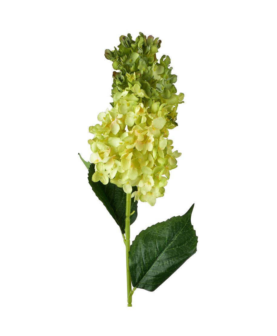 VIRIDIS Kwiat Hortensja podłużna 80cm