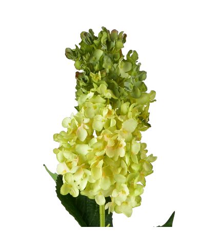 VIRIDIS Kwiat Hortensja podłużna 80cm