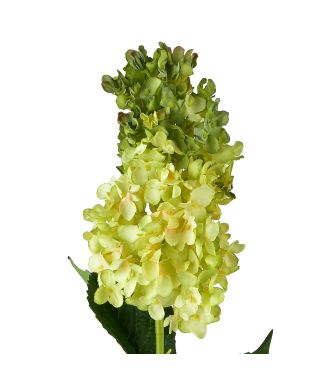 VIRIDIS Kwiat Hortensja podłużna 80cm