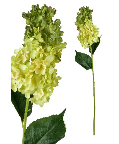 VIRIDIS Kwiat Hortensja podłużna 80cm