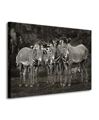 Zebras - Obraz na płótnie