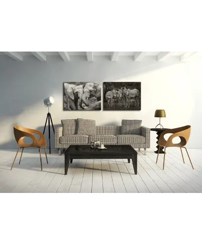 Zebras - Obraz na płótnie