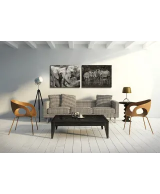 Zebras - Obraz na płótnie